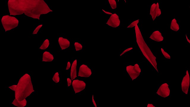 飘落的红玫瑰花瓣。情人节慢动作高清动画，近距离与黑色背景。视频素材