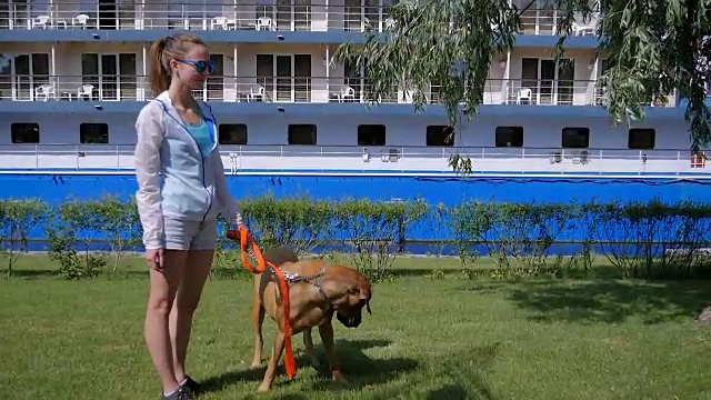 可爱的女孩和狗在公园的草地上散步视频下载