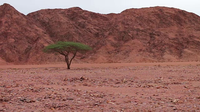 西奈山的红色沙漠景观视频下载