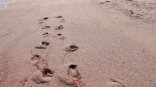 女孩的脚在沙滩上留下脚印视频下载