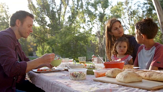 一个混合种族的家庭在公园的野餐桌上聊天视频素材