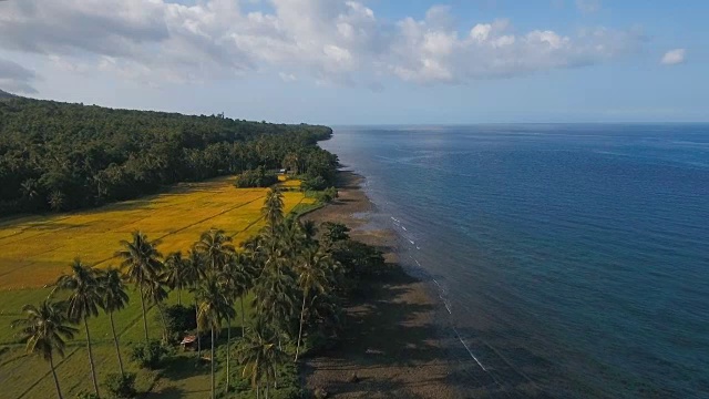 鸟瞰图美丽的海岸线在热带岛屿与火山沙滩。Camiguin岛菲律宾视频下载