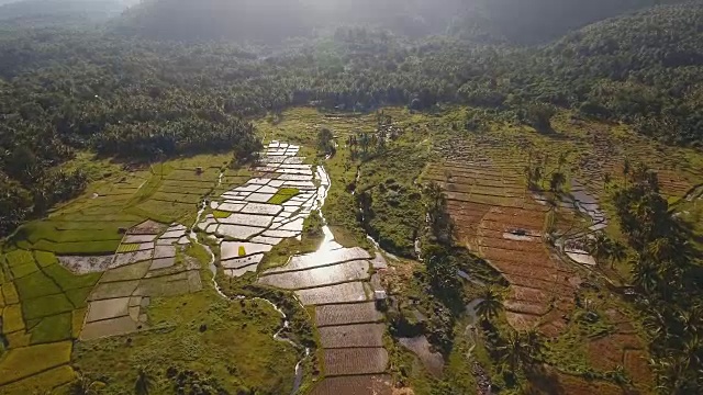 稻田鸟瞰图。菲律宾视频素材
