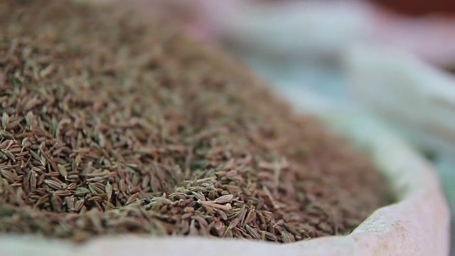 袋装种子在突尼斯市场视频下载