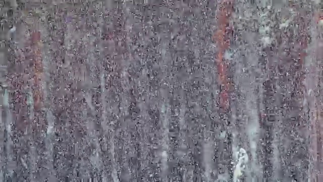 冬天下雪的松林和下雪的圣诞树视频素材