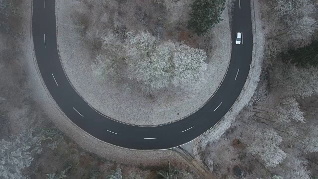 森林鸟瞰图中的道路曲线视频素材