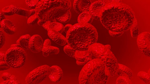 显微动画红细胞视频下载
