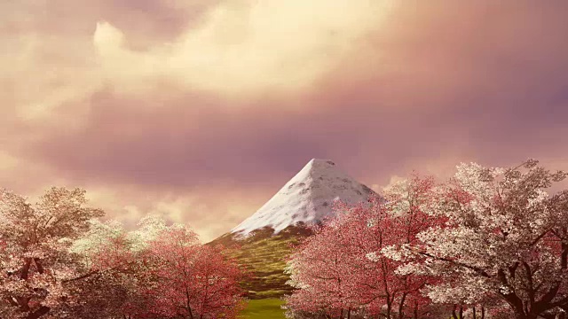 日出或日落时的富士山和盛开的樱花视频素材