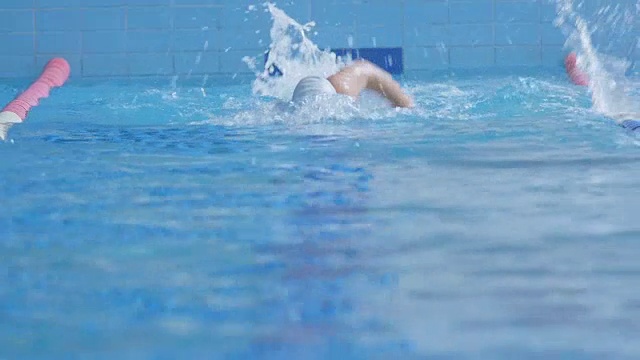 运动员在游泳池里游爬泳视频下载