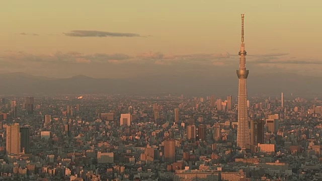 空中，晨光中的东京天际线，日本视频素材
