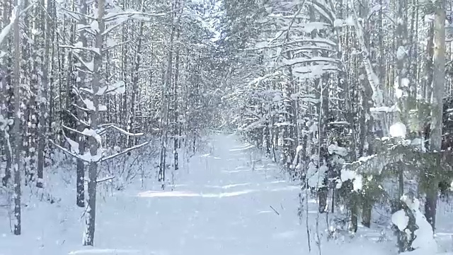 空中冰冻的冬季森林茂密，森林灌丛，具有良好的降雪和阳光多莉变焦效果视频素材