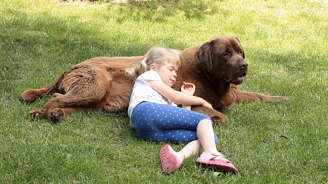 金发小女孩和棕色拉布拉多寻回犬在花园里视频下载