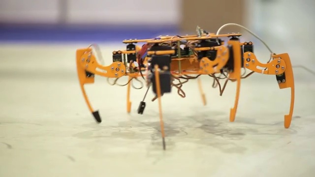 机器人蜘蛛展示了现代机器人技术的可能性视频购买