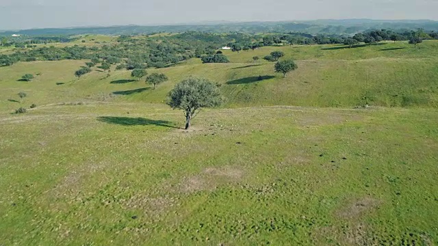 鸟瞰图绿色乡村景观视频素材