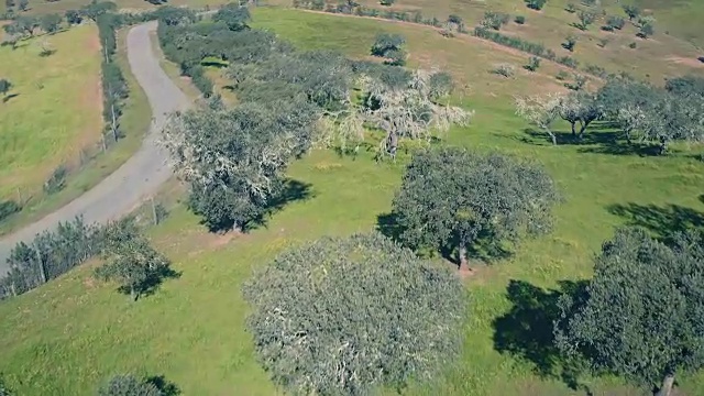 鸟瞰图绿色乡村景观视频素材