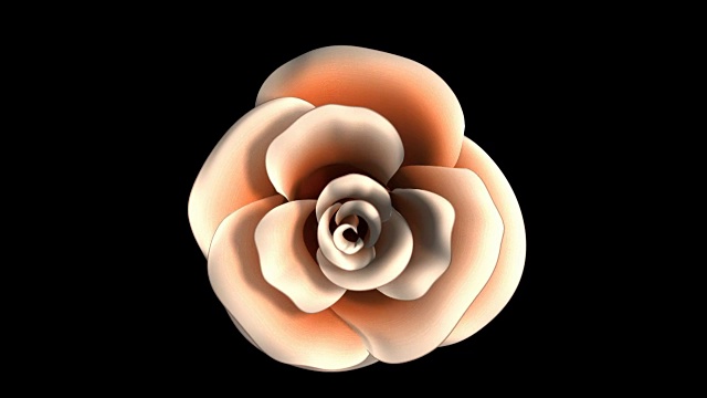 旋转的玫瑰花朵视频下载