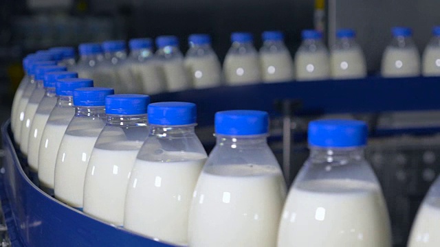 新鲜乳制品，瓶子在传送带上移动。奶制品厂视频素材