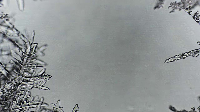冰冷的雪花模式视频素材