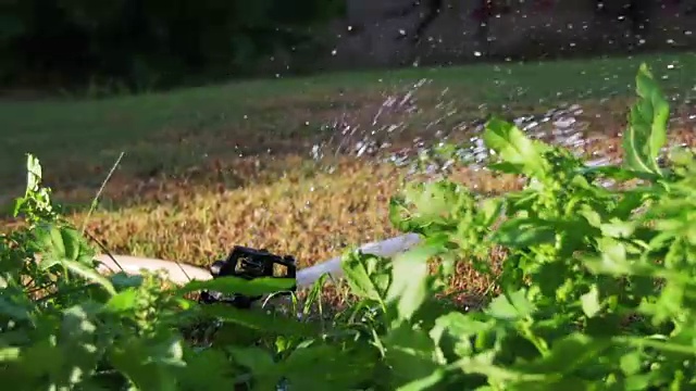 自动草坪洒在花园绿色草地在慢动作视频素材