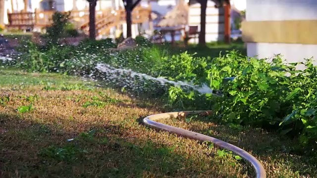 花园灌溉喷灌机浇灌草坪在慢动作视频素材