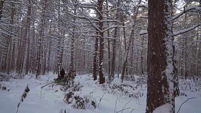 灰色的马车在冬季木材库存录像视频下载