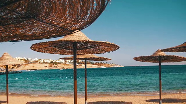 埃及，空旷的阳光海滩与雨伞，太阳床在红海视频下载