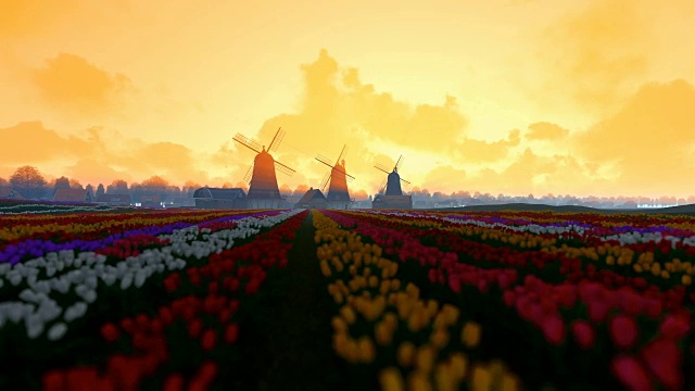 传统的荷兰风车，前景是生机勃勃的郁金香，晨雾，摇盘视频素材