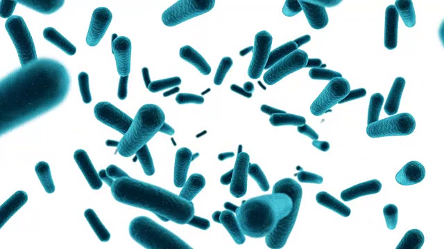 数字生成的细菌细胞在白色背景下流动视频下载