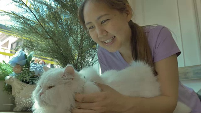 4K:可爱的亚洲女人和她的波斯猫玩视频素材