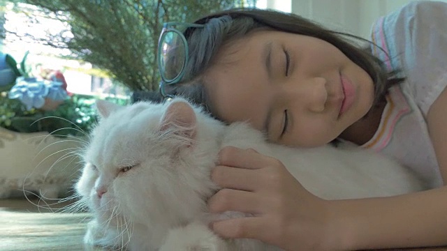 可爱的亚洲女孩和她的波斯猫玩视频素材