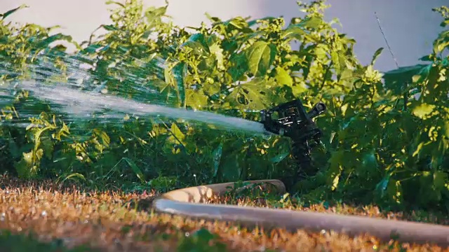 在慢镜头中，花园洒水车的负责人正在给草地浇水视频素材