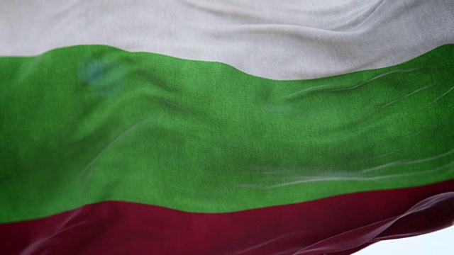 逼真的保加利亚国旗3d动画循环视频下载