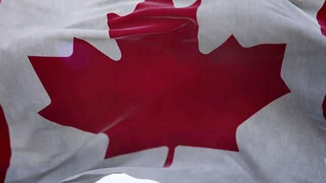 逼真的加拿大旗3d动画循环视频素材