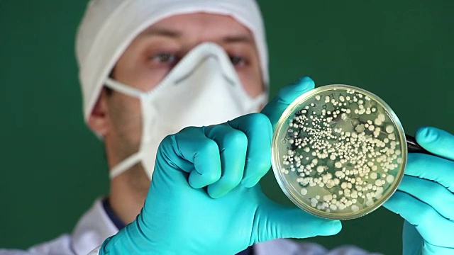 科学家在生物实验室列举微生物菌落视频下载