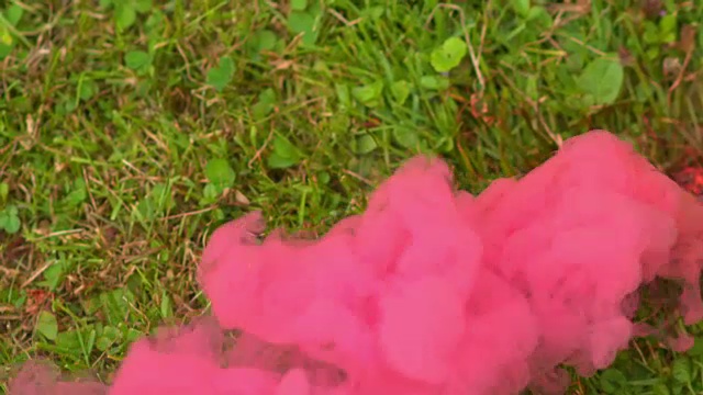 以草为背景的粉色烟雾视频素材