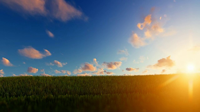 美丽的日落映衬着草地视频素材