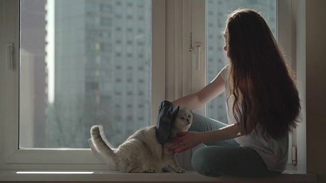 猫毛是过敏源的概念。人与宠物的关系概念。视频下载