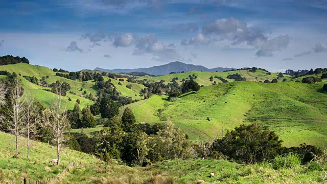 新西兰北部乡村的春天景象-时光流逝视频素材