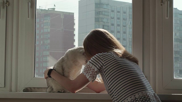 人与宠物的关系概念。年轻的金发和白猫，女孩拥抱一只猫视频下载