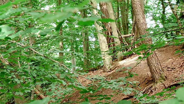 运动山地车单步道跳跃Vert Schoenbuch #2视频素材