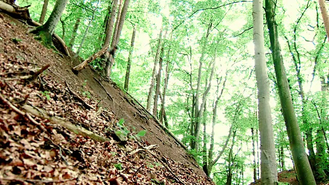 运动山地车单步道跳跃Vert Schoenbuch #1视频素材