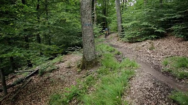 运动山地车单步道跳跃下降Schoenbuch #2视频素材