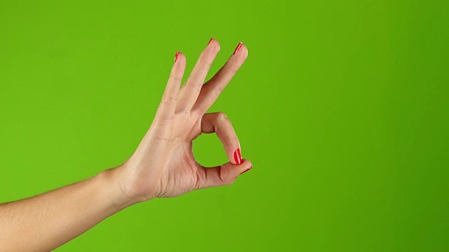手部显示手势手指每帧两次视频下载