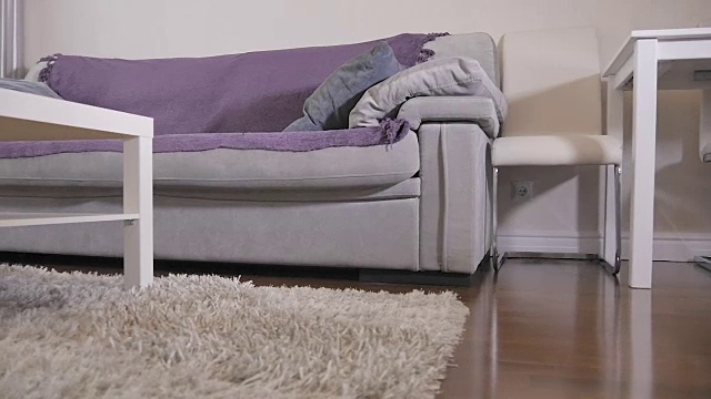 舒适的客厅里有一个舒适的沙发视频素材