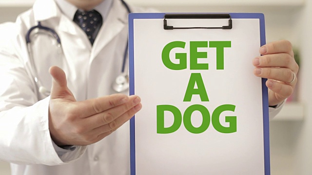 医生建议病人养一只狗视频下载