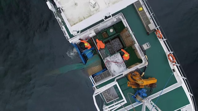 飞过一艘在海上用拖网捕鱼的商船。视频素材