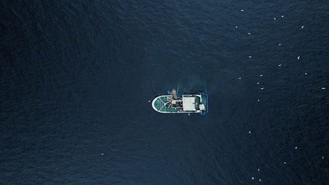 在海上用拖网捕鱼的商业船放大。自顶向下的观点。视频素材