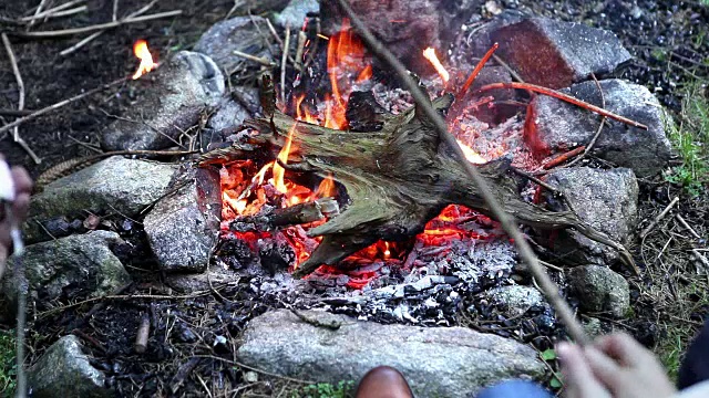 在寒冷的森林里，一对夫妇在篝火上烤棉花糖视频素材