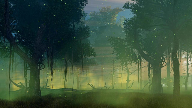 萤火虫的灯光在朦胧的夜晚森林电影视频下载