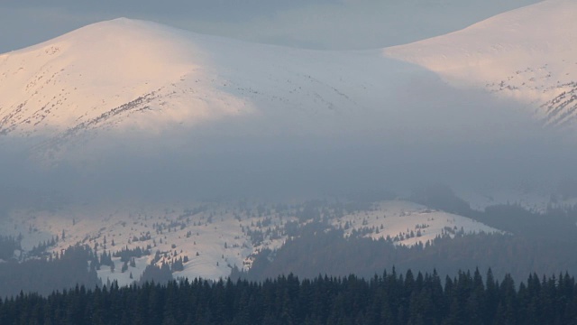 美丽的冬天早晨在雪山森林瑞士阿尔卑斯山冒险徒步旅行风景与白色的雾视频素材